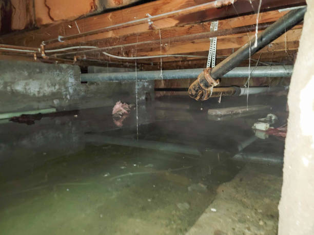 Best Fire Damage Restoration  in Aliquip, PA