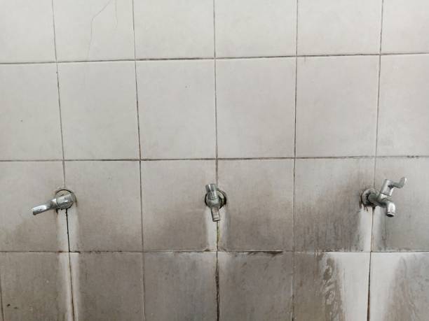 Best Carpet water damage restoration  in Aliquip, PA