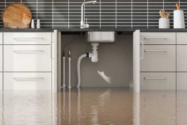 Best Sewage cleanup and water damage restoration  in Aliquip, PA