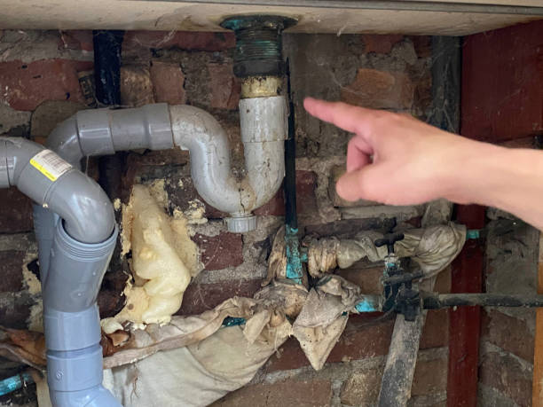 Best 24/7 water damage repair  in Aliquip, PA